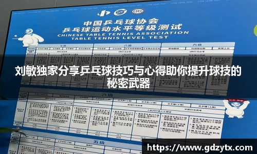 刘敏独家分享乒乓球技巧与心得助你提升球技的秘密武器