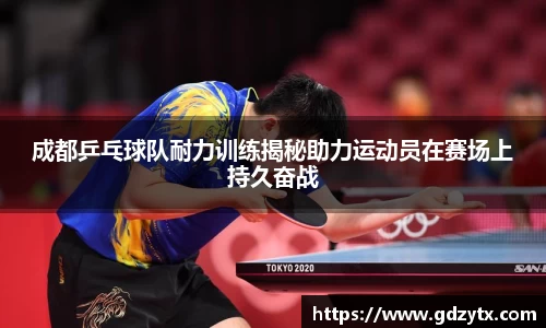 成都乒乓球队耐力训练揭秘助力运动员在赛场上持久奋战