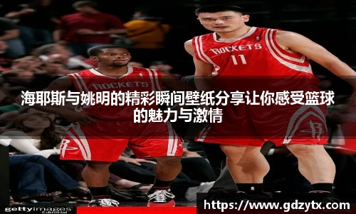 海耶斯与姚明的精彩瞬间壁纸分享让你感受篮球的魅力与激情