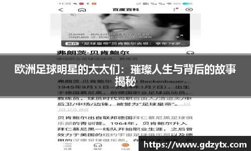 完美体育