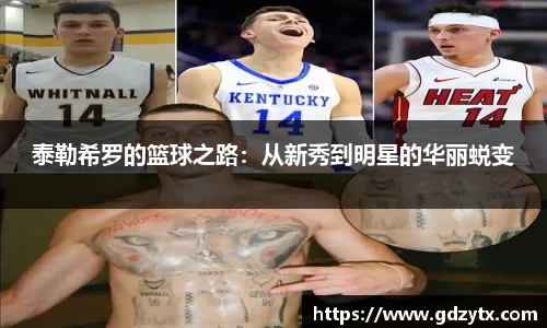 泰勒希罗的篮球之路：从新秀到明星的华丽蜕变